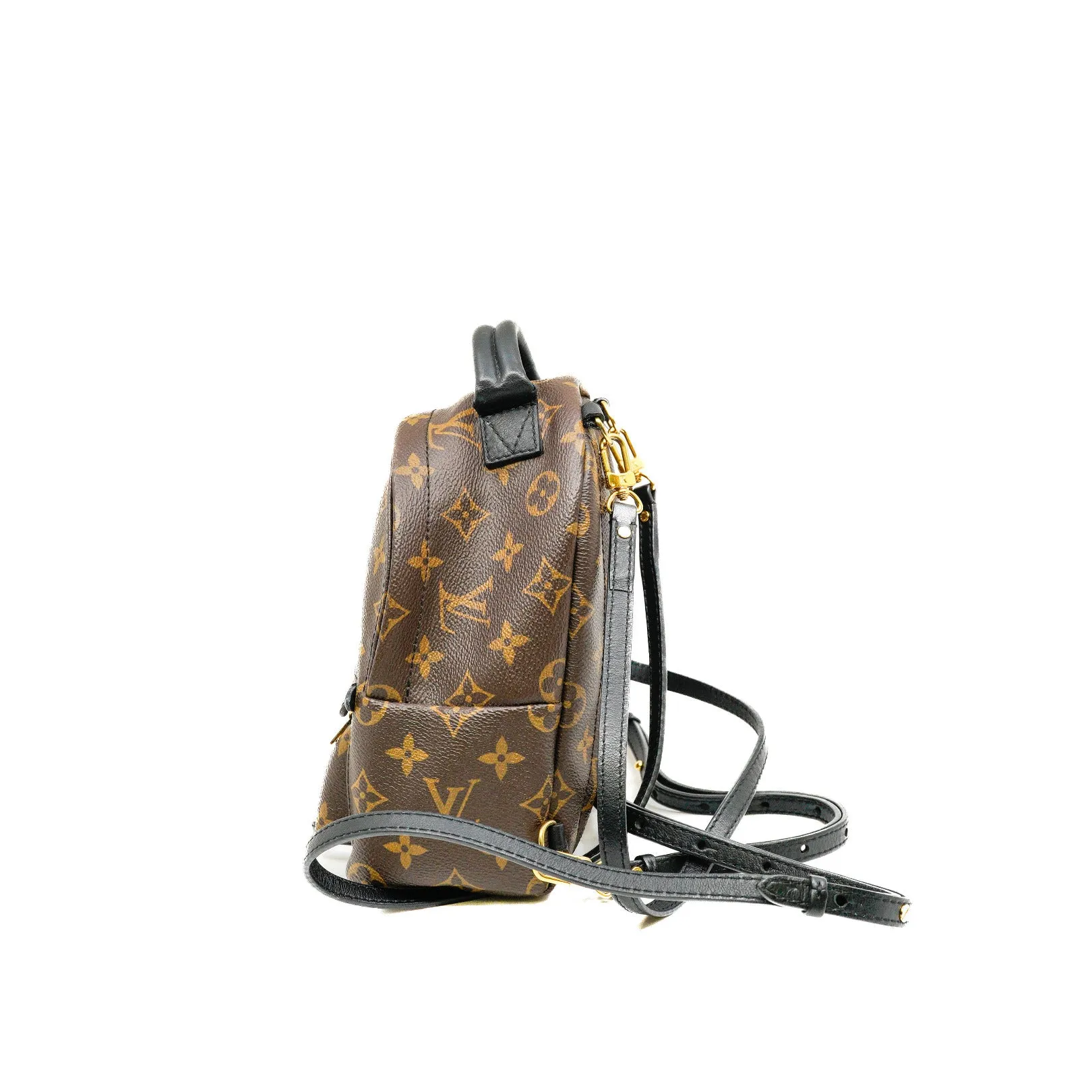 Mini Palm Springs Monogram Canvas Backpack GHW