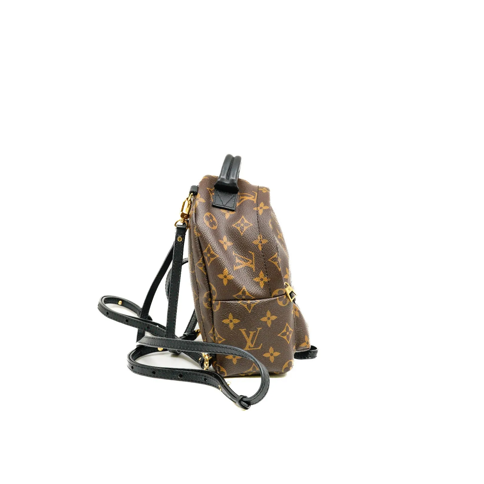 Mini Palm Springs Monogram Canvas Backpack GHW