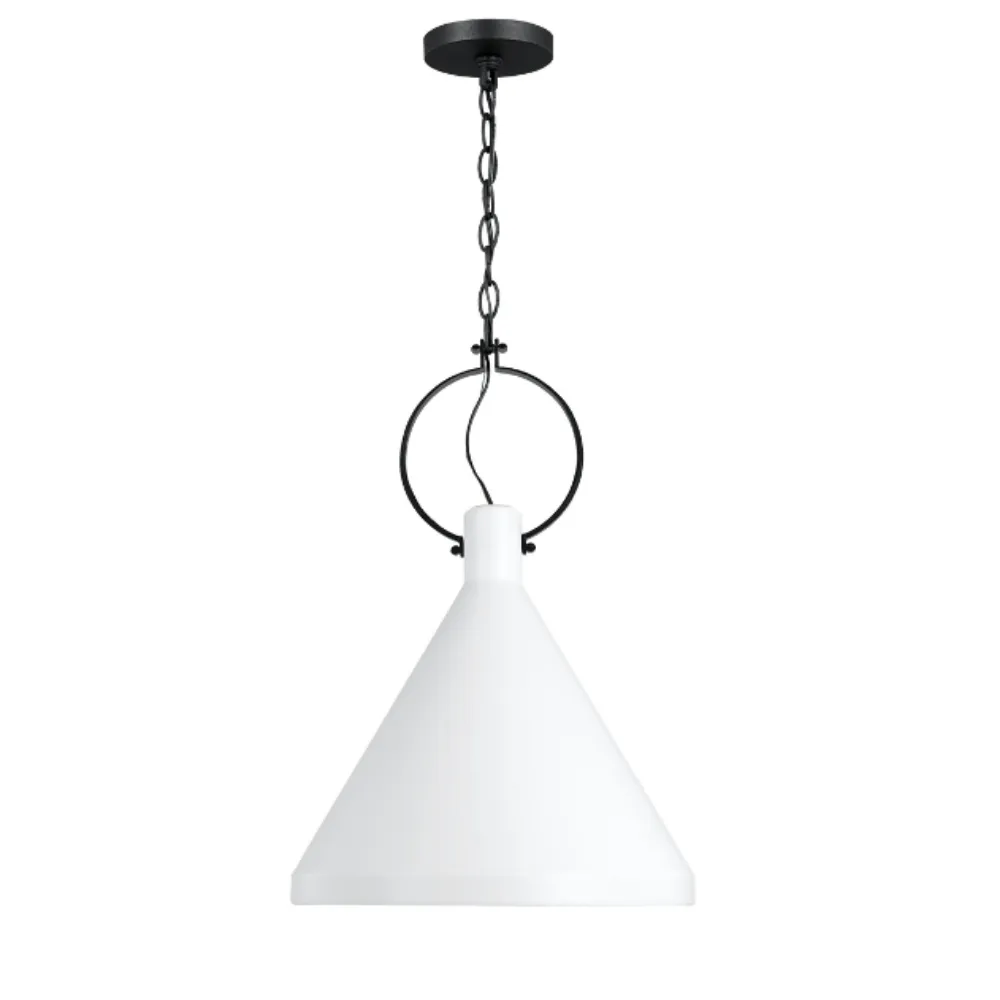 Randi 1-Light Pendant